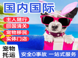 衢州机场托运国际宠物托运 【国